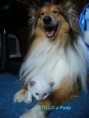 /album/atillo-a-pady/a28-8-09-ii-089-jpg/